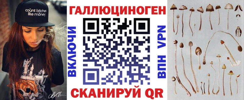 Купить где  Елабуга  Галлюциногенные грибы Magic Shrooms 