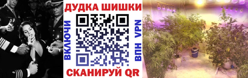 Купить где  Елабуга  МАРИХУАНА тримм 